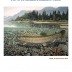 Salmon and People: a Story of the Cheakamus & Squamish Riversheds Salmon and People: a Story of the Cheakamus & Squamish Riversheds