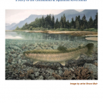 Salmon and People: a Story of the Cheakamus & Squamish Riversheds